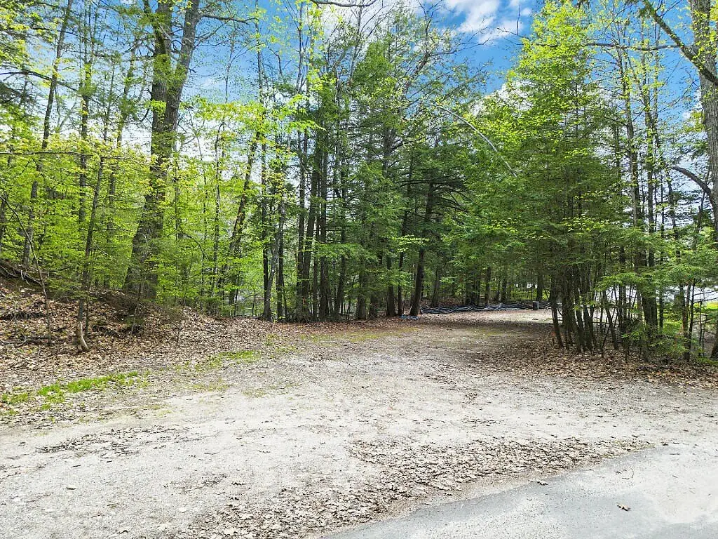 Picture 4