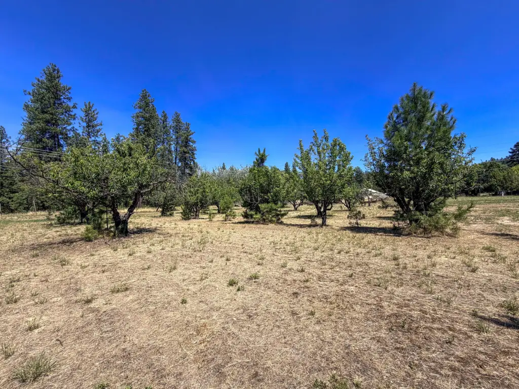 Picture 22