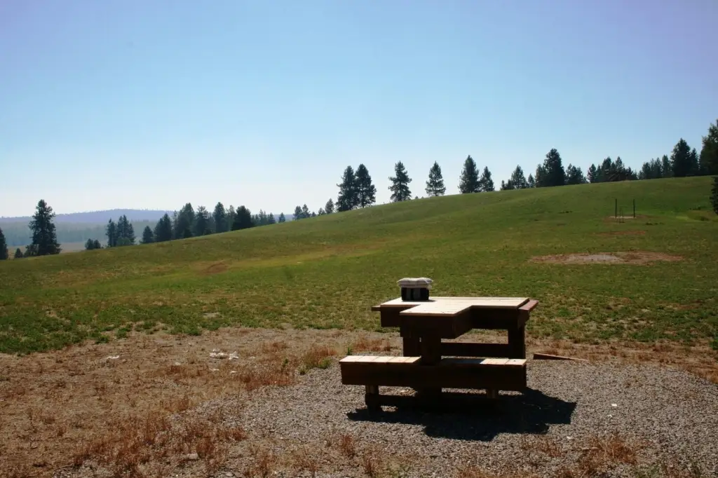 Picture 17