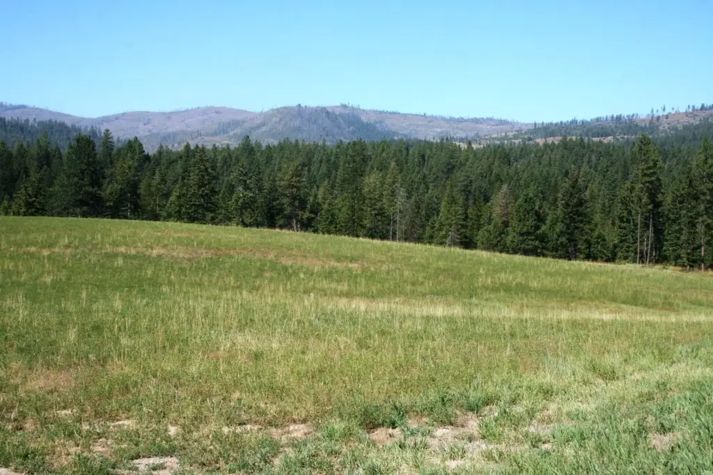 Picture 10