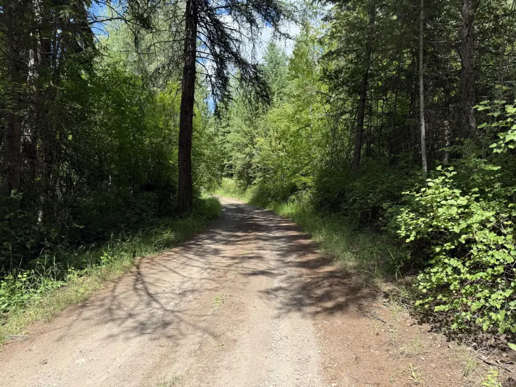 Picture 19