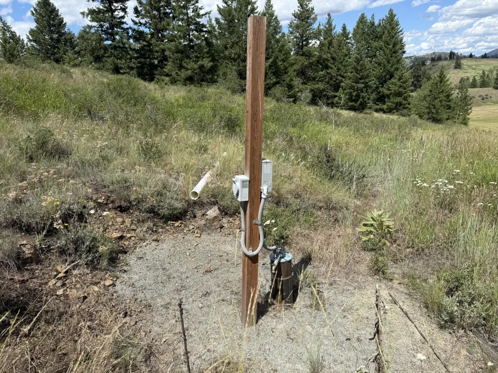 Picture 6
