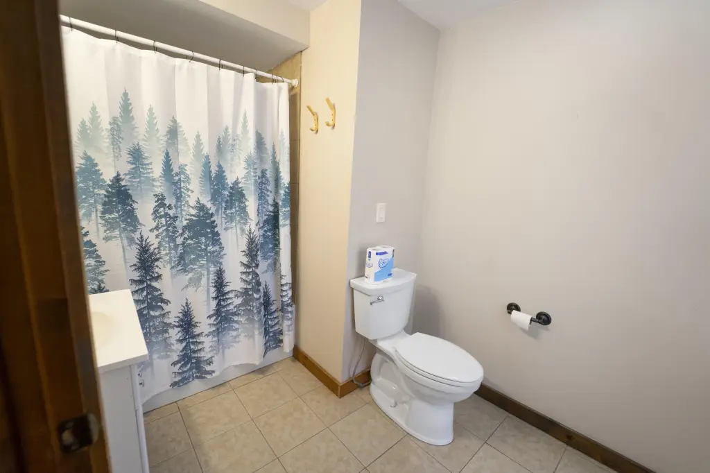 Picture 21