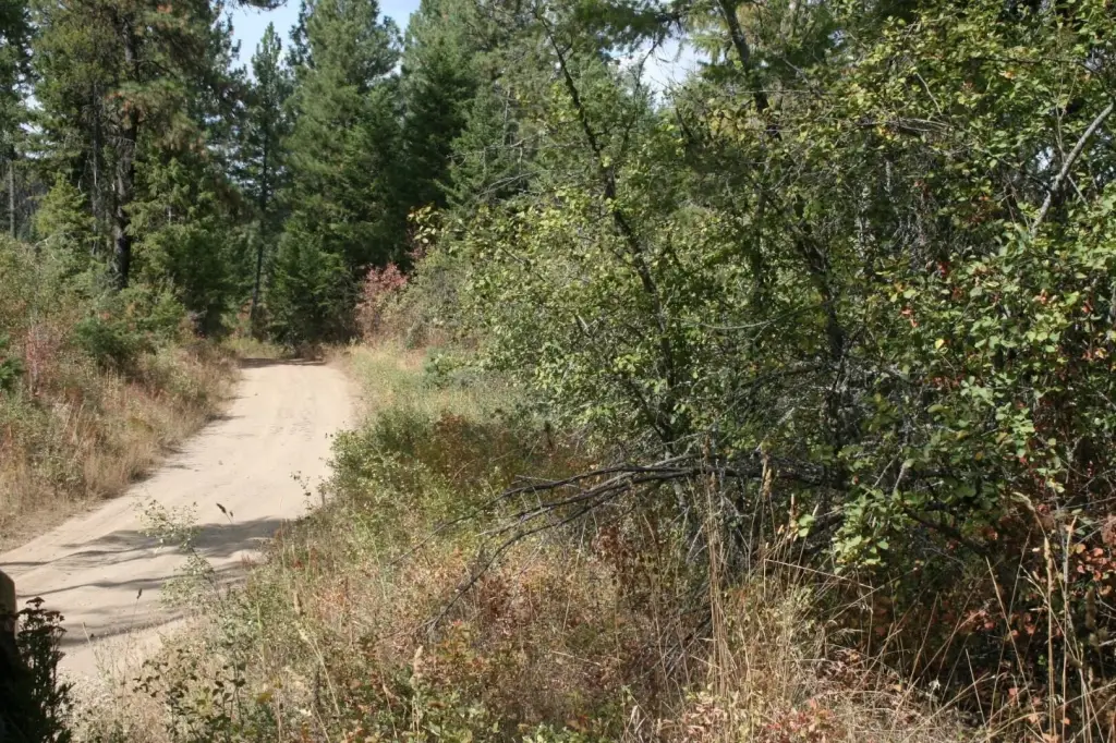 Picture 5