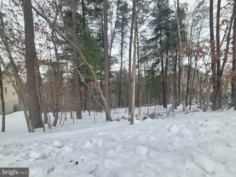 Wooded Lot Near Lake Holiday