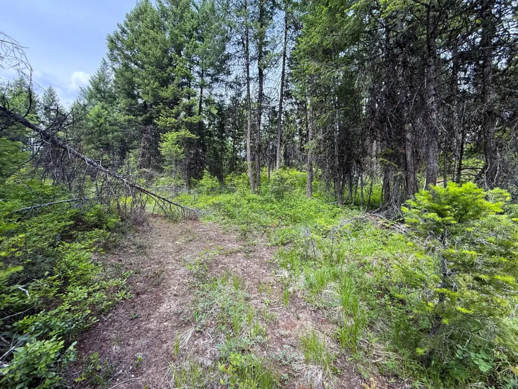 Picture 9