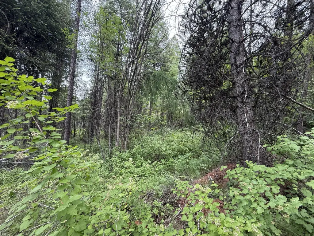 Picture 7