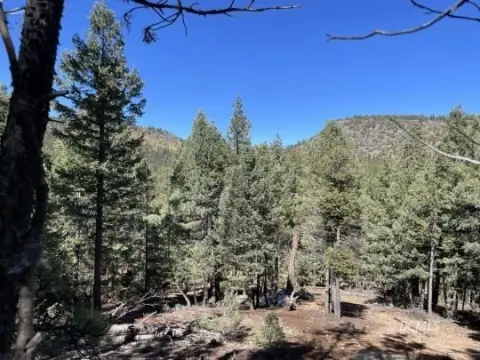 Mammoth Creek Forested Mountain View Lot