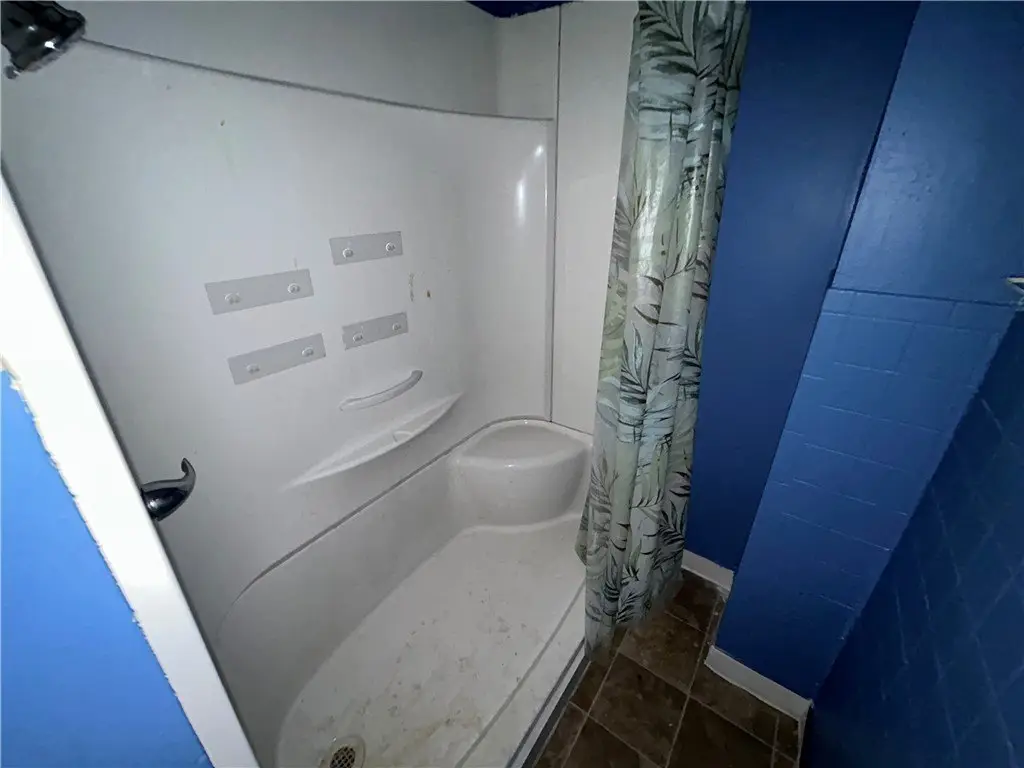 Picture 5