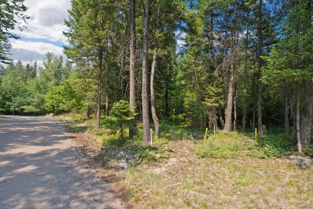 Picture 20