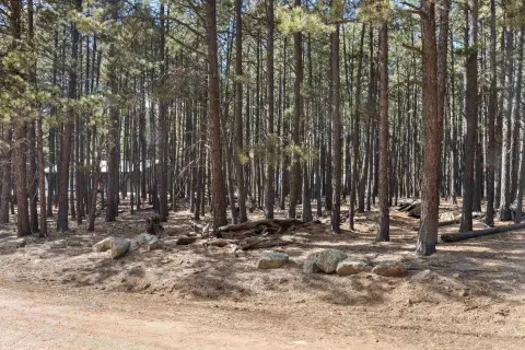 Half-Acre Lot in Angel Fire