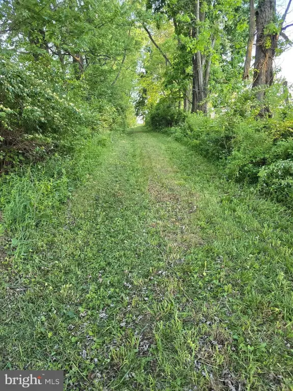 Picture 9