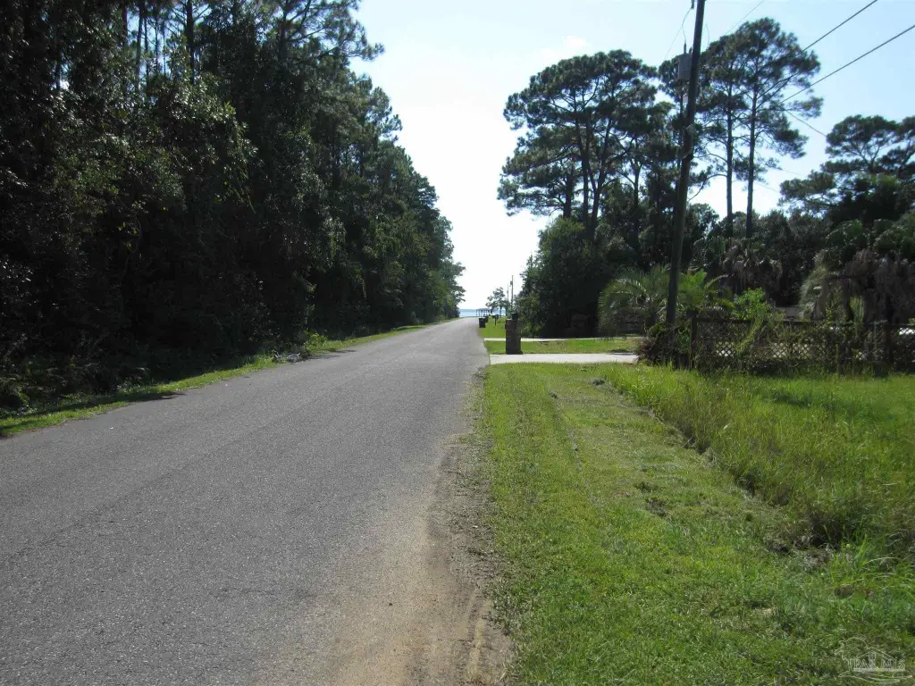 Picture 5