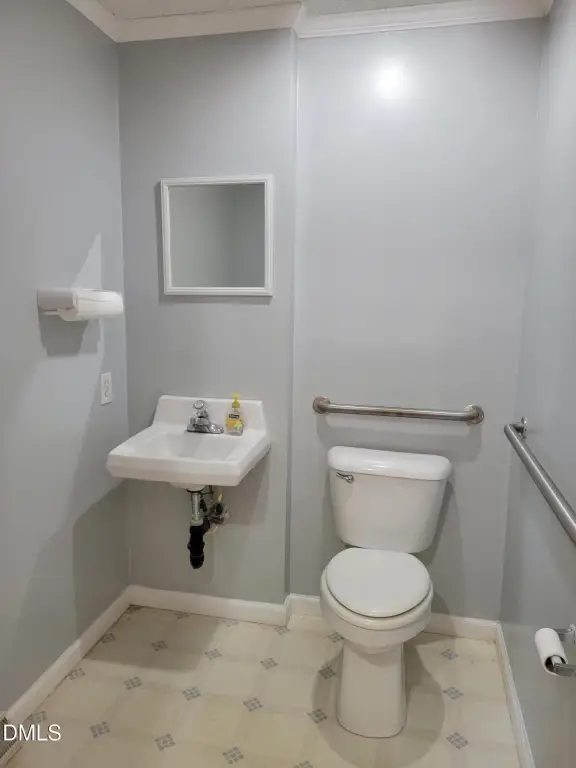 Picture 11