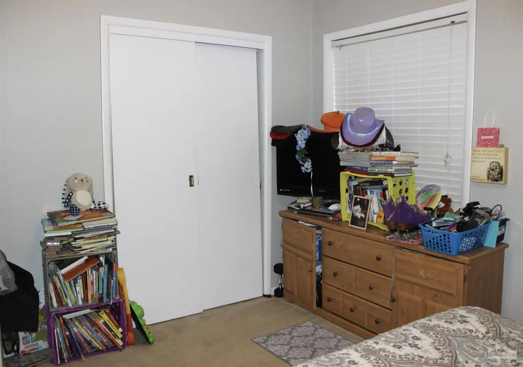 Picture 51