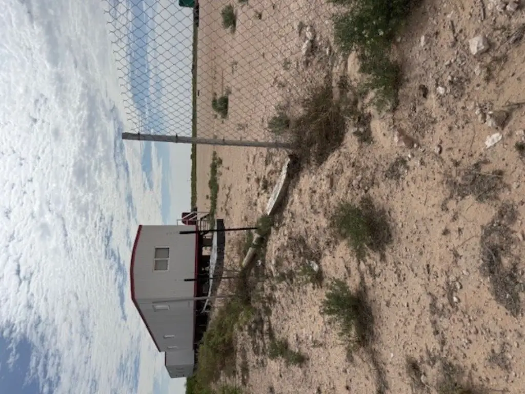 Picture 6