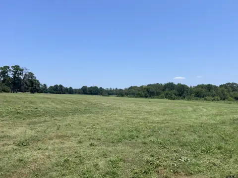 41 Acres Near Troup School