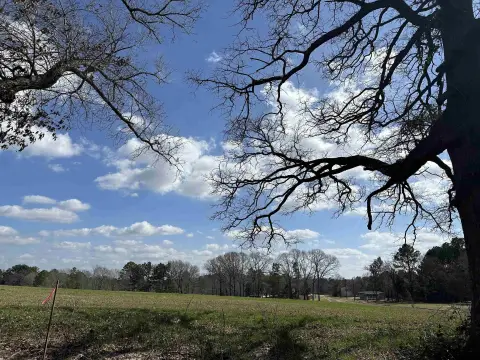 Henderson, TX Rural Acreage