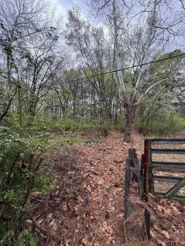 Vacant Lot Near I-20