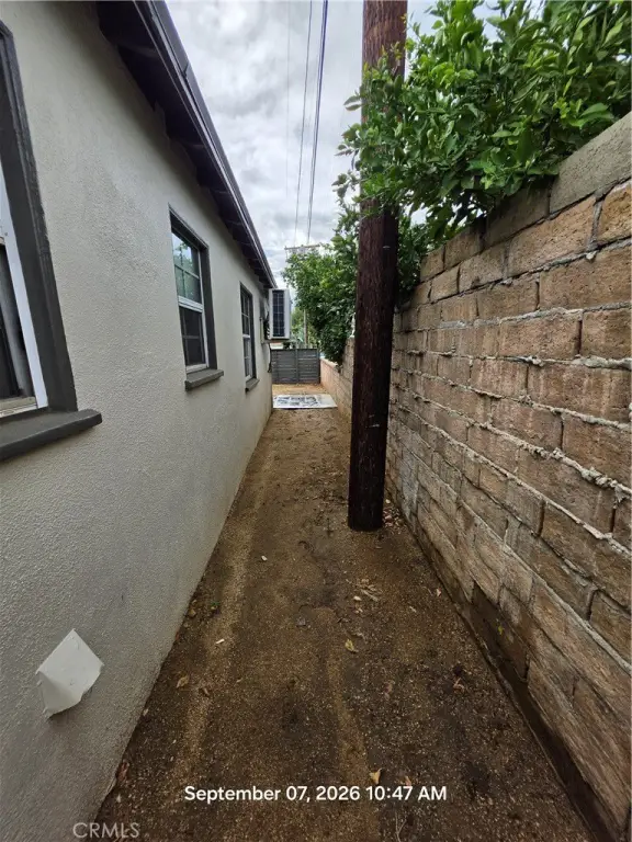 Picture 19