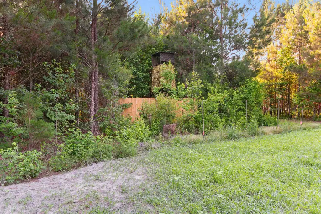 Picture 18