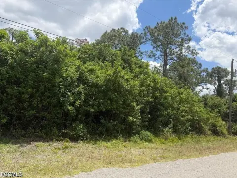 Lehigh Acres Oversized Lot
