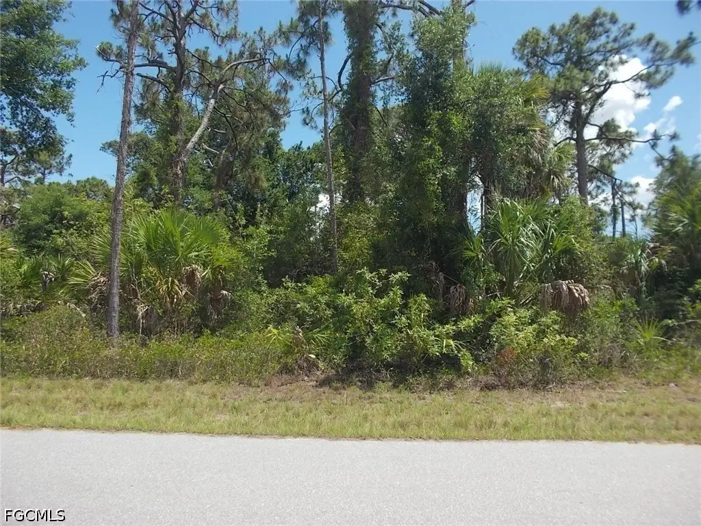 Picture 6