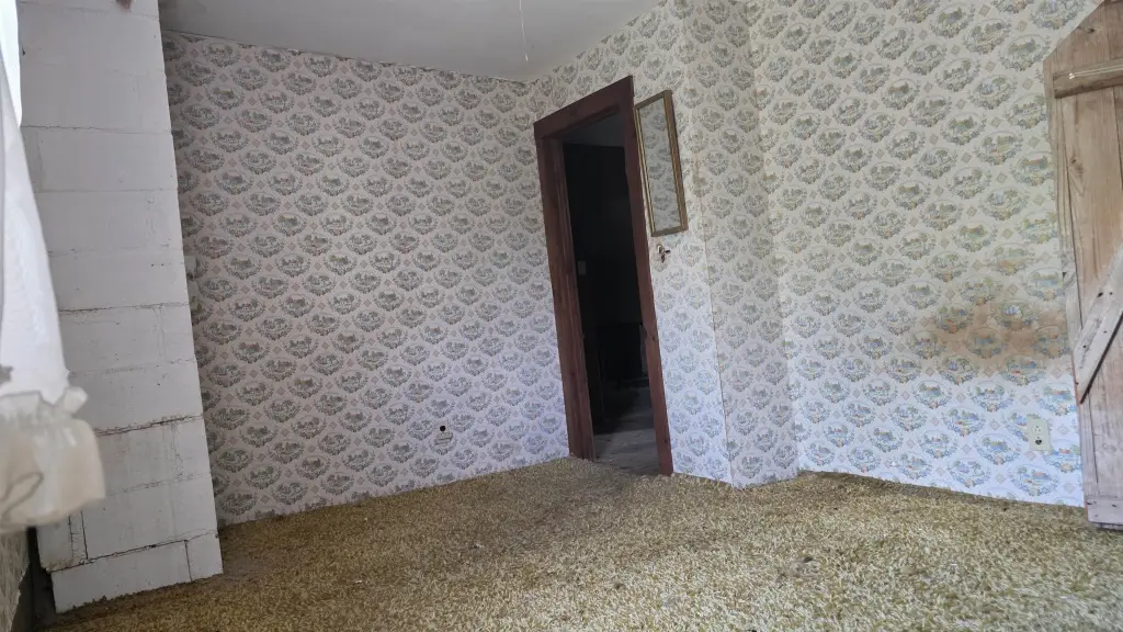 Picture 46
