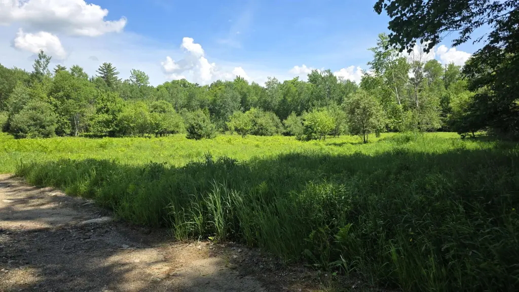 Picture 18