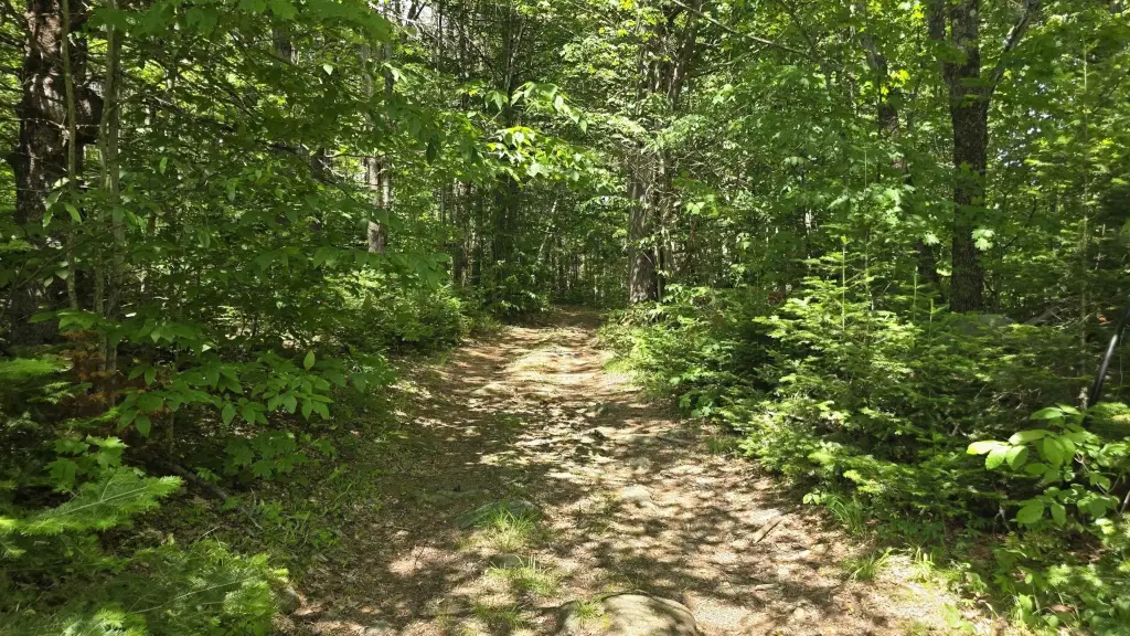 Picture 12