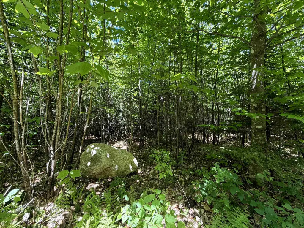 Picture 16