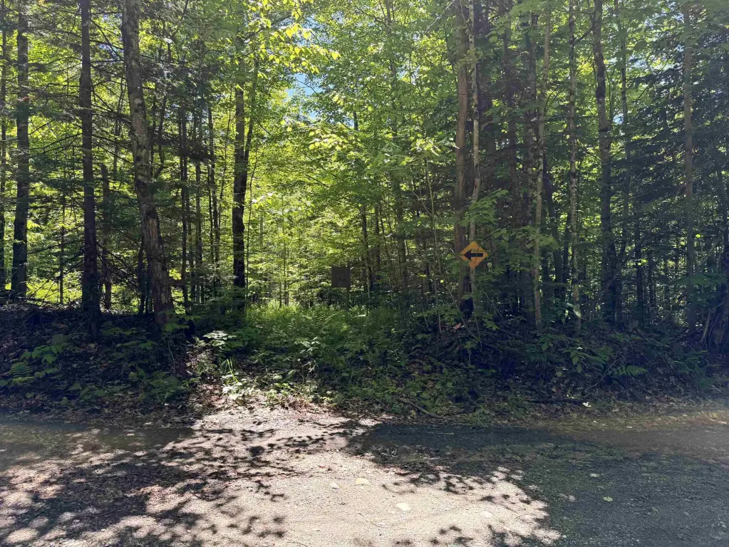 Picture 26