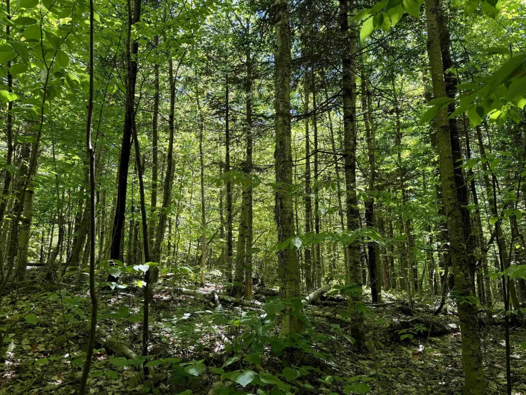 Picture 20