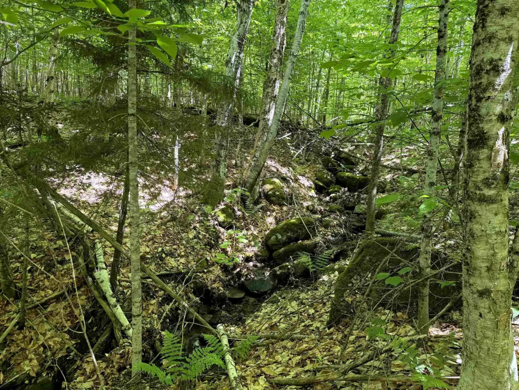Picture 19