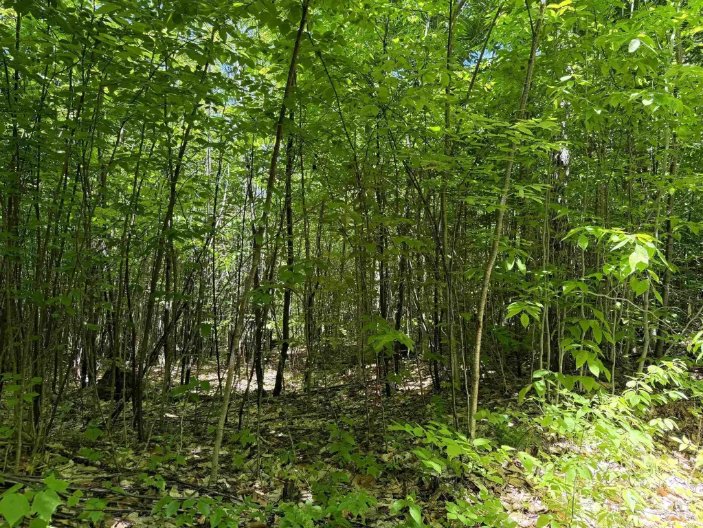 Picture 14