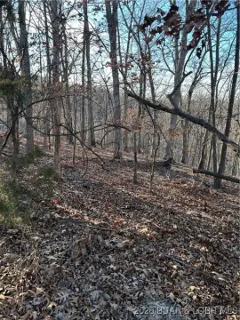 Four Seasons Wooded Lot