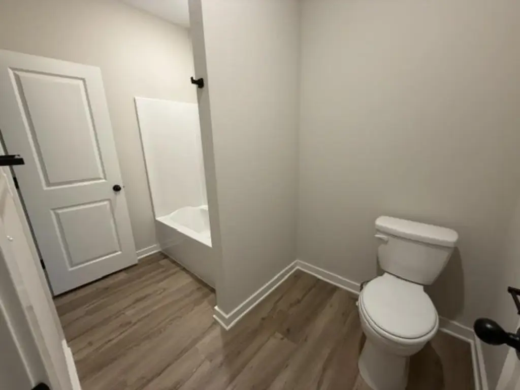 Picture 12