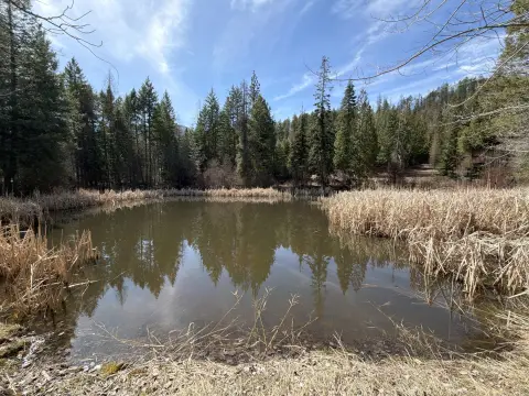 Recreational Hunting Land with Pond