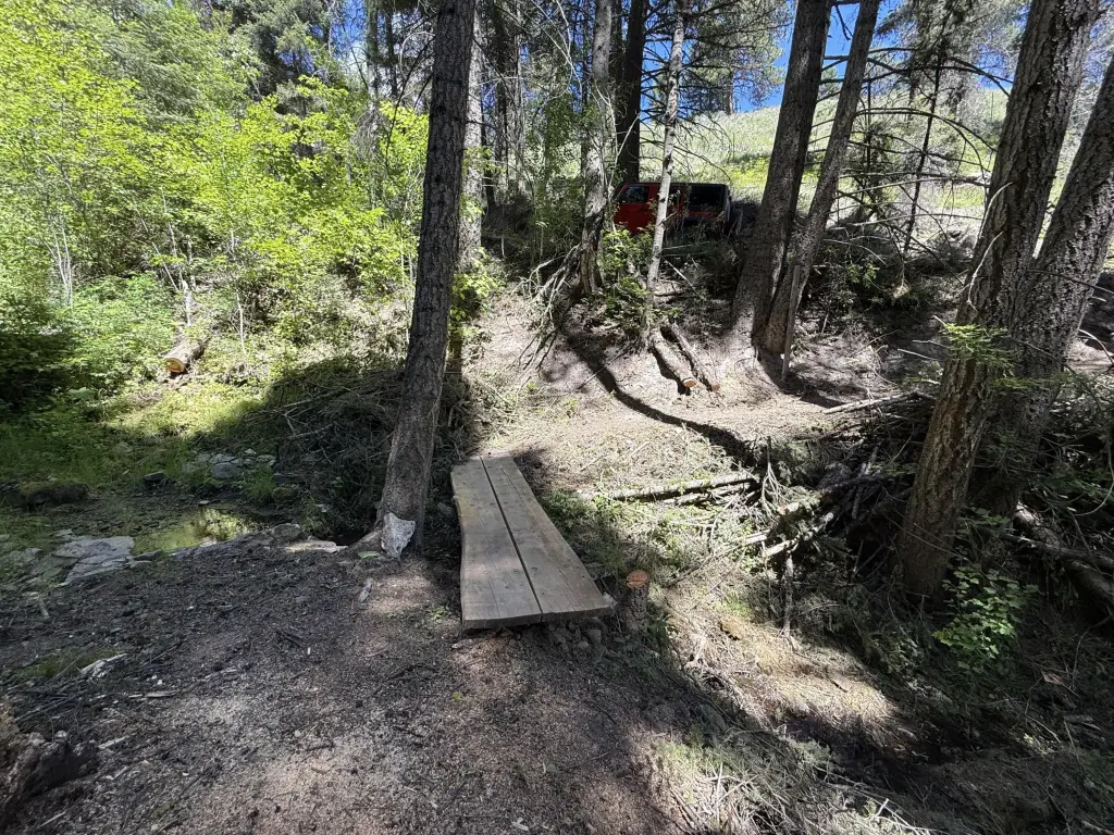 Picture 25