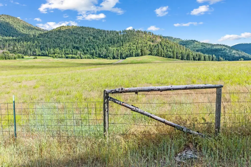 Picture 18