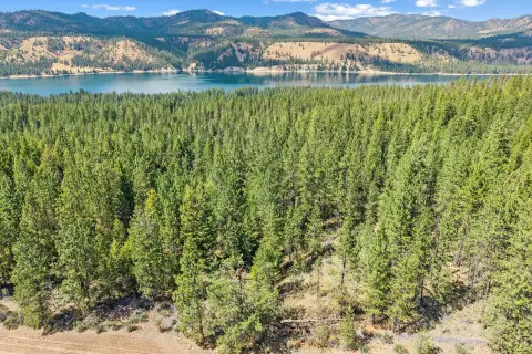 Timbered Waterfront Land with Lake Views