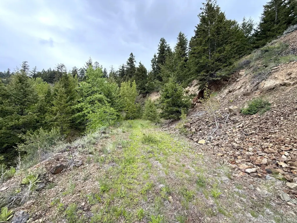 Picture 20