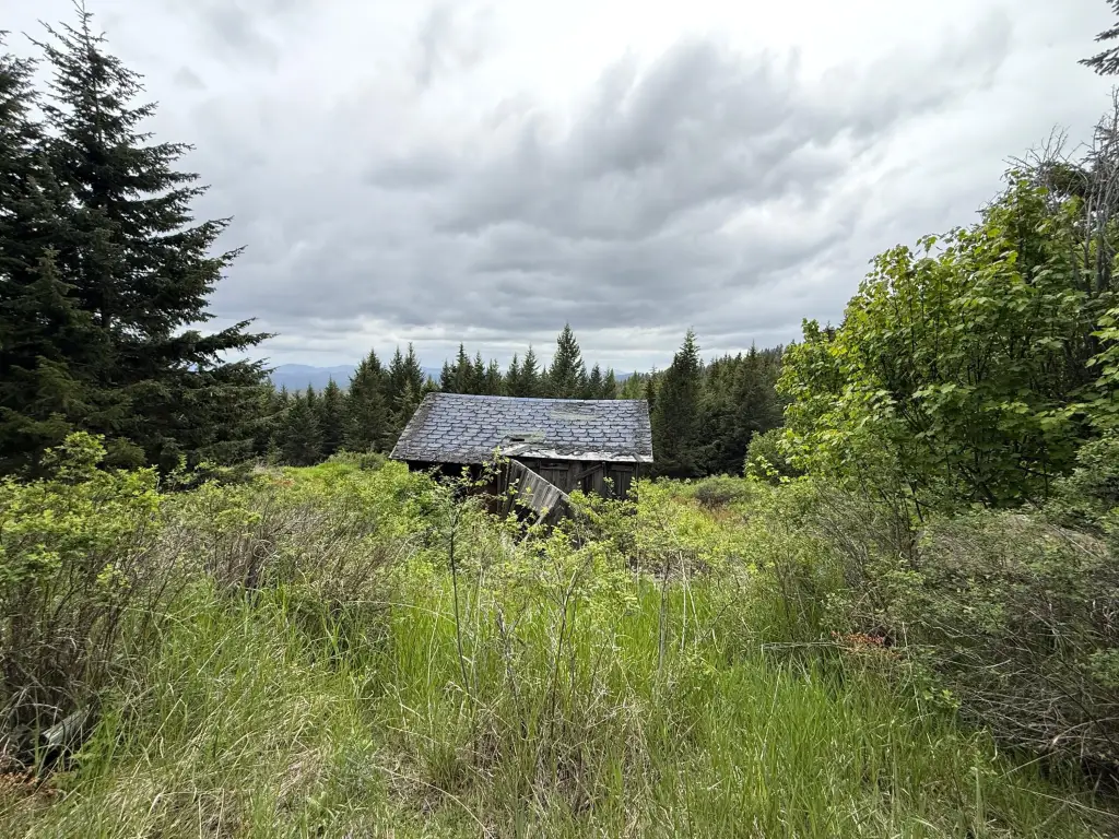 Picture 8
