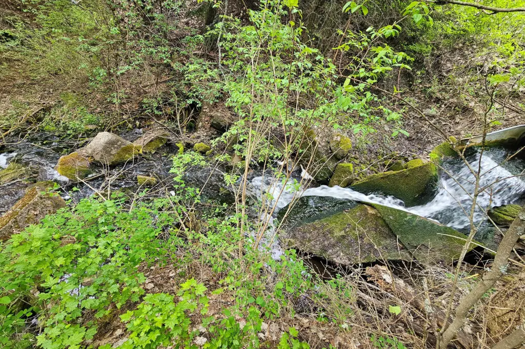 Picture 13