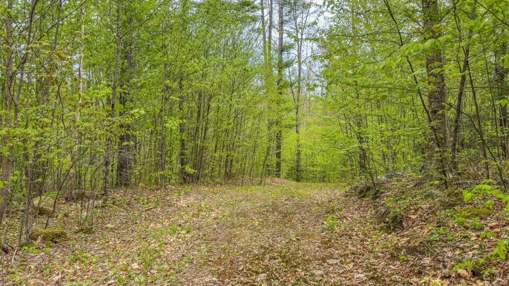 Picture 14