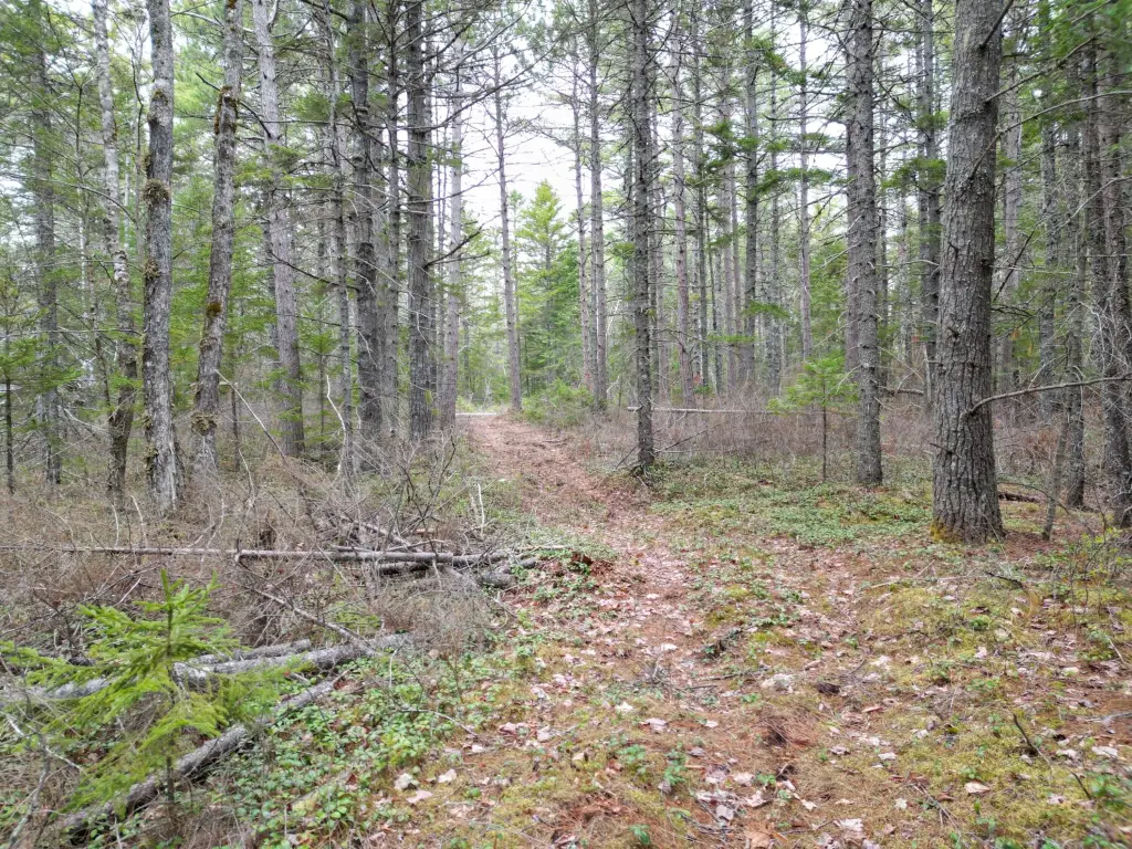 Picture 5