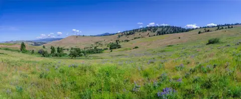 Private Mountain View Homesite