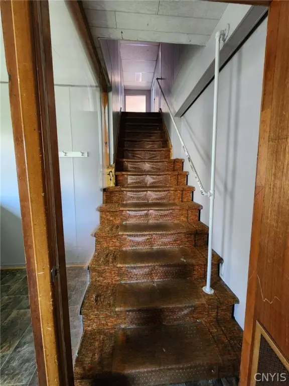 Picture 11