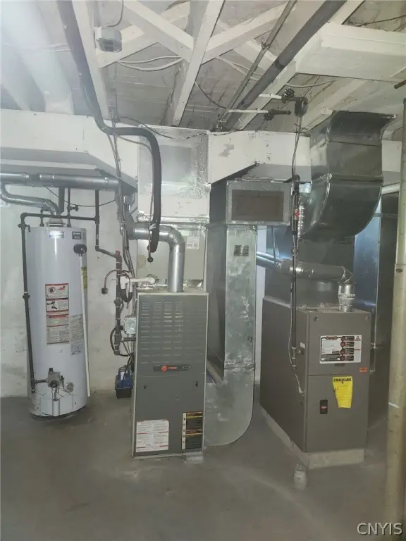 Picture 19