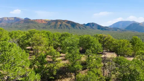 Valdez, NM Dream Home Parcel